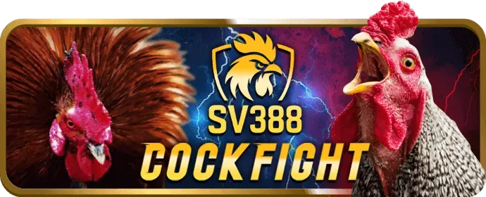 vn168 casino cam kết an toàn và công bằng